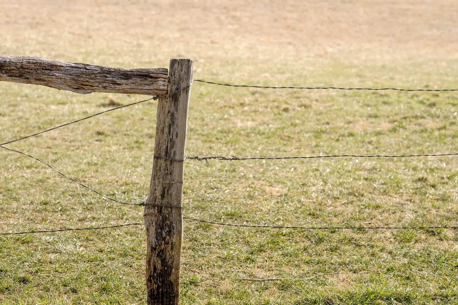 Farm and ranch fence line with wood posts and tensioned wire across an open Front Range field