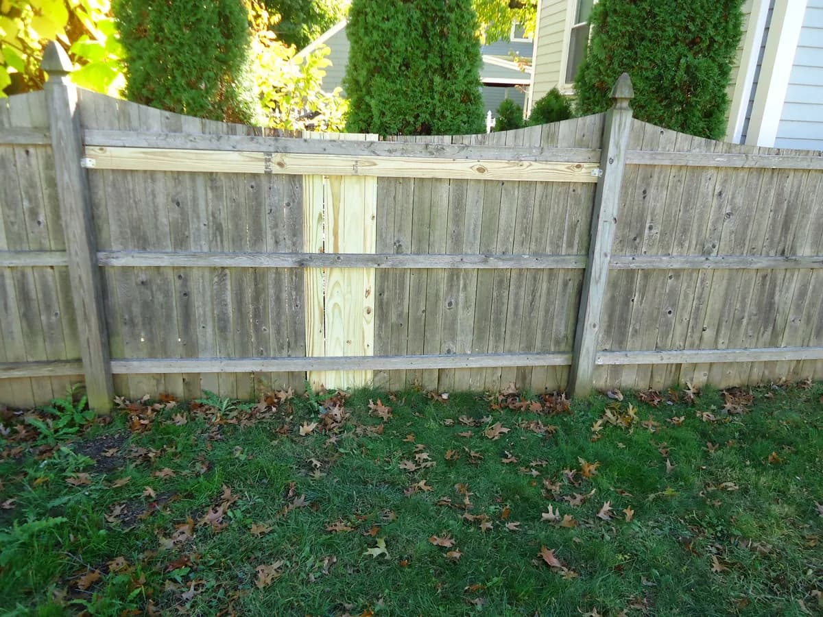 Wood privacy fence with a freshly replaced cedar board in a residential backyard